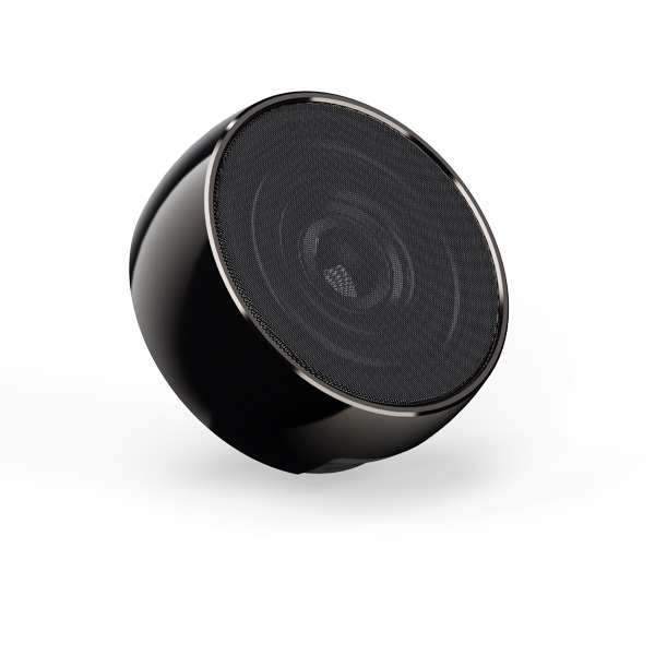 SPK-80 Speaker